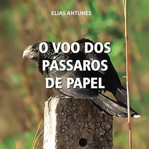 O-Voo-Dos-Passaros-De-Papel-Audiolivro-Gratis